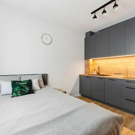 Jarzębinowy Z Ogródkiem Łódź