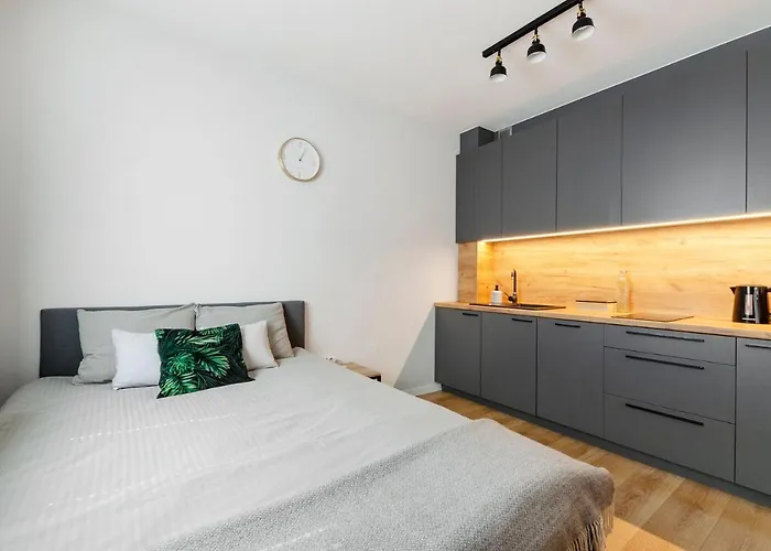 Jarzebinowy Z Ogrodkiem Łódź